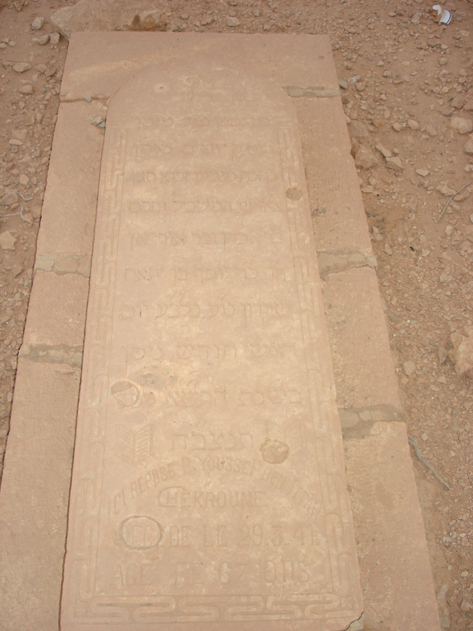 DSC01025.jpg