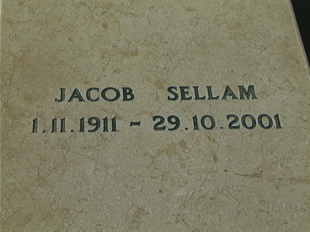 ID477A.jpg