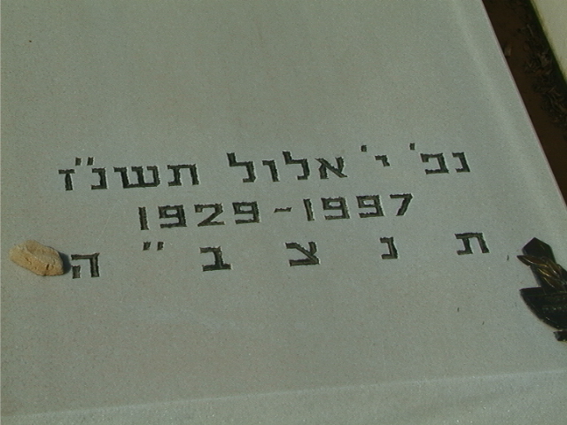 ID8180A.jpg