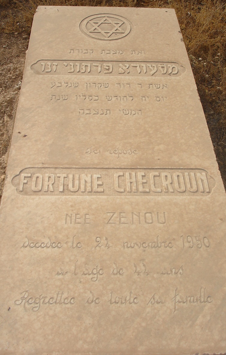 MESSAOUDAFORTUNEZENOU.jpg