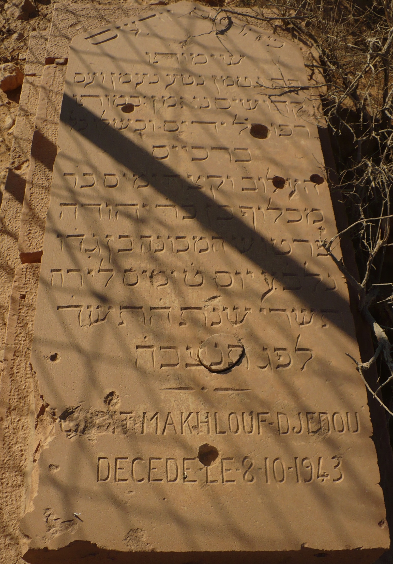 P1080020.jpg