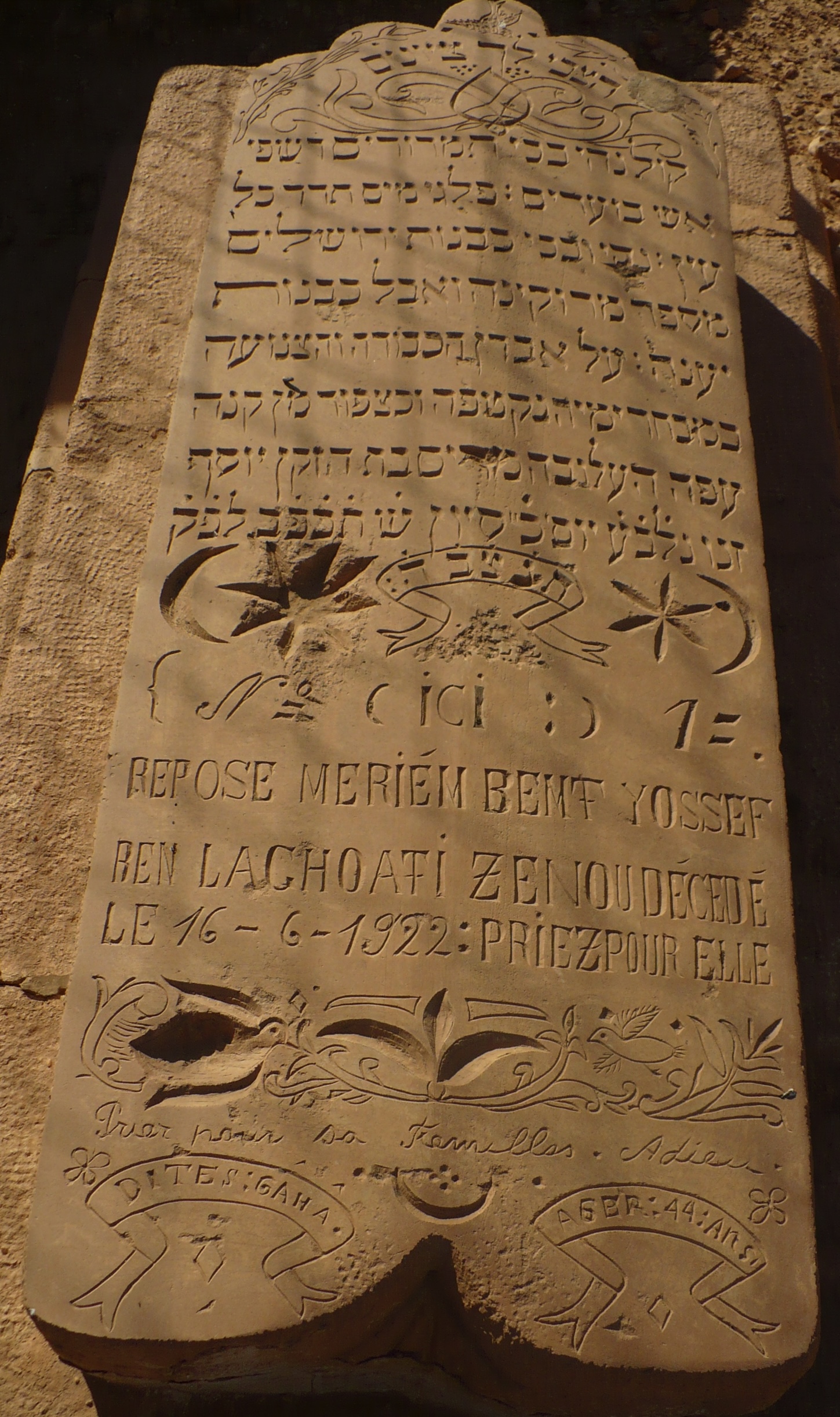 P1080024.jpg