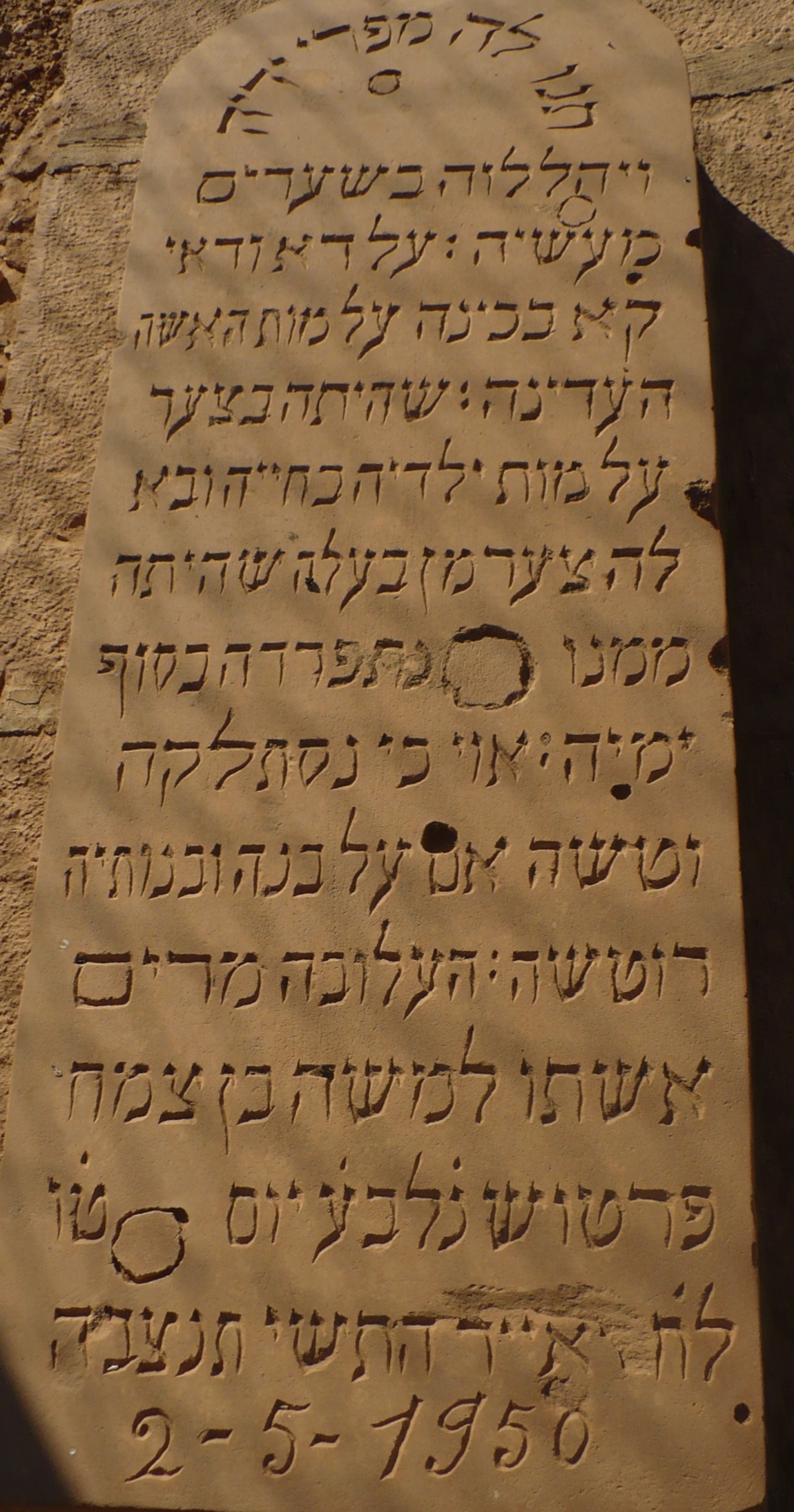 P1080028.jpg