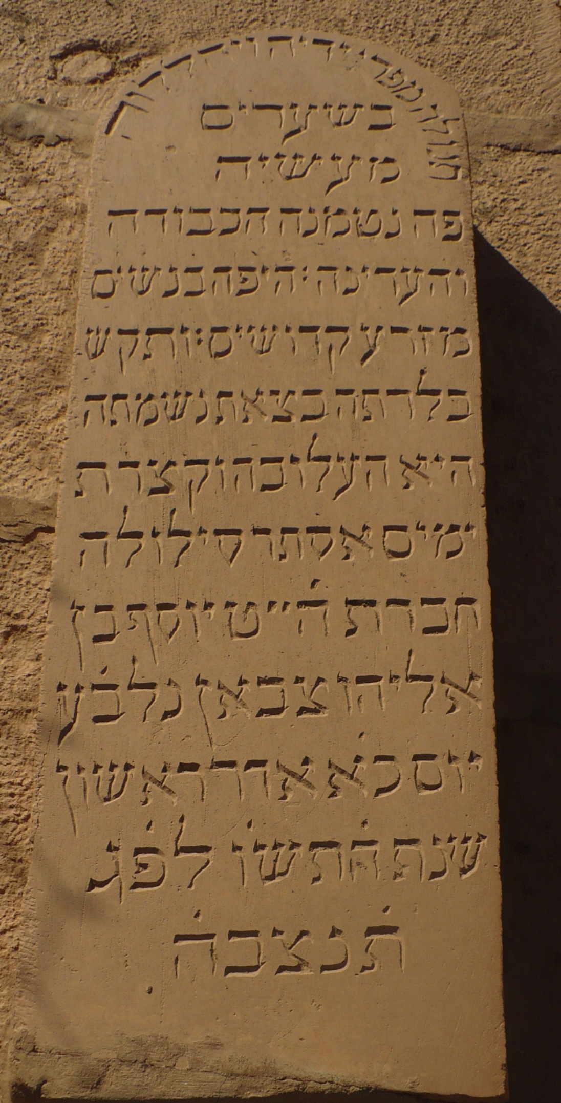 P1080029.jpg