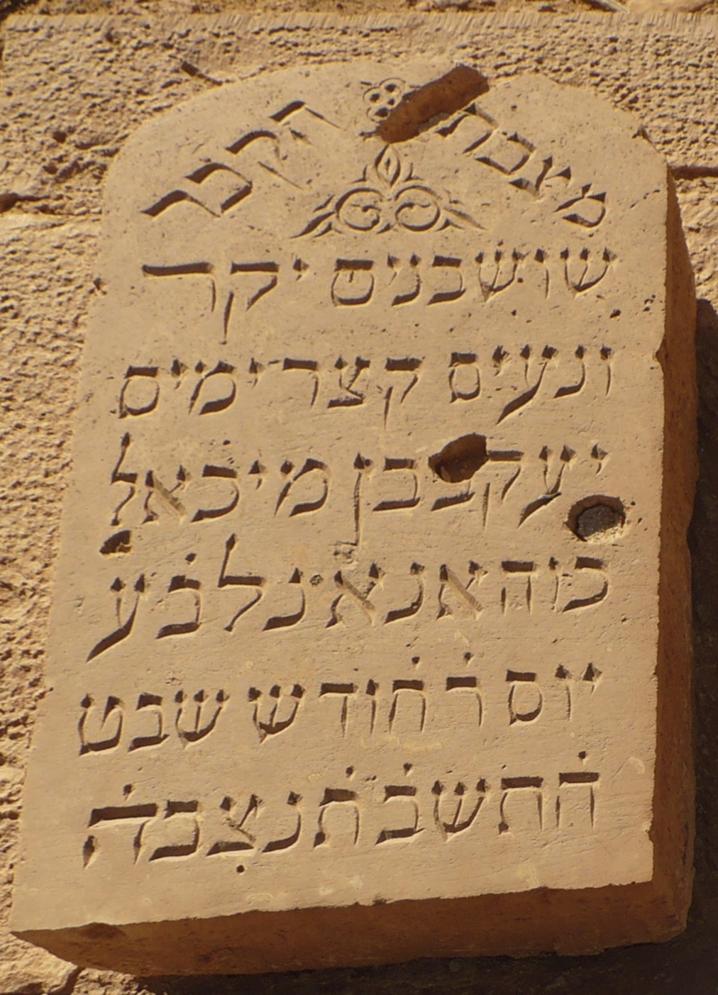 P1080036.jpg