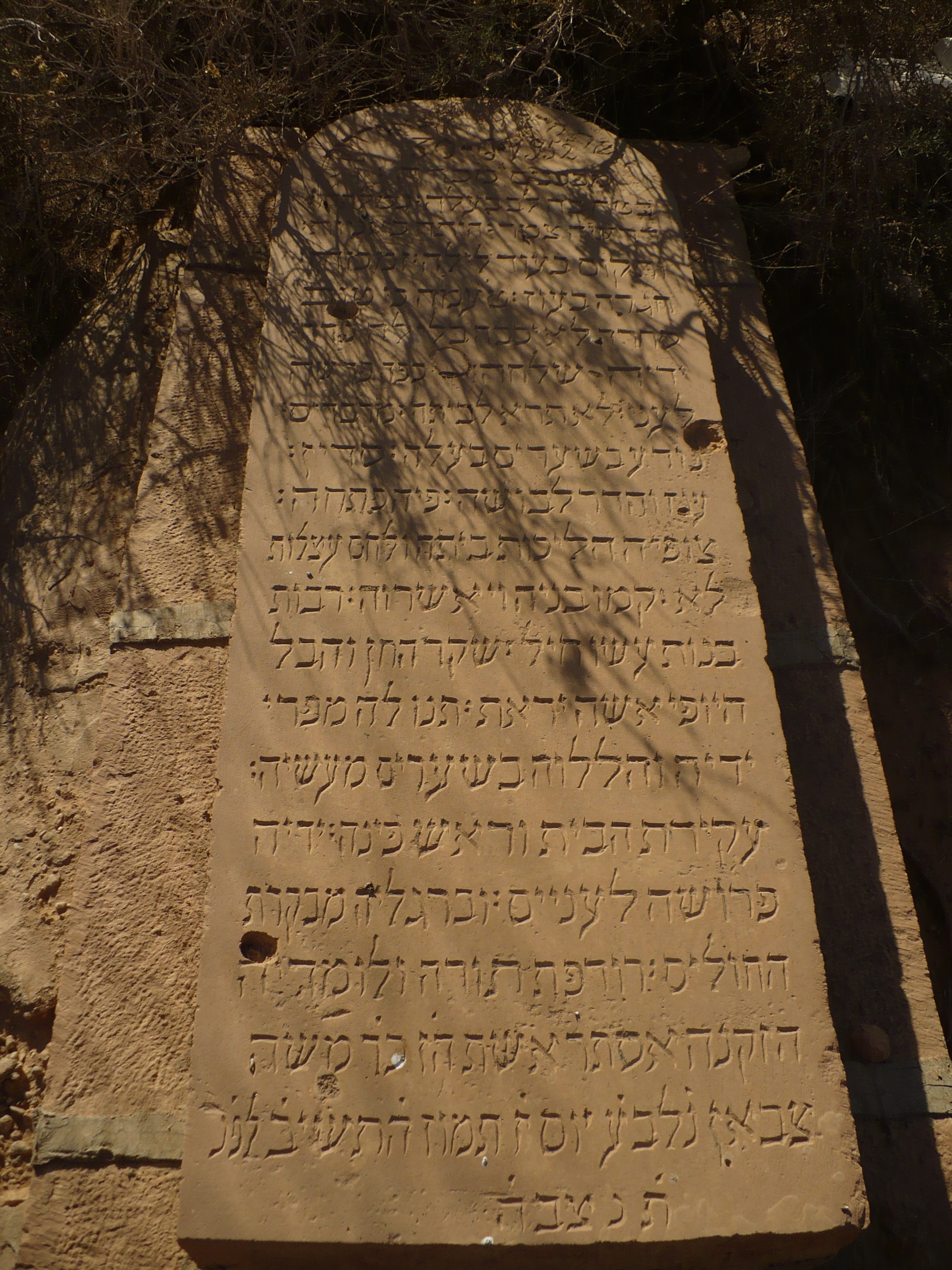P1080041.jpg