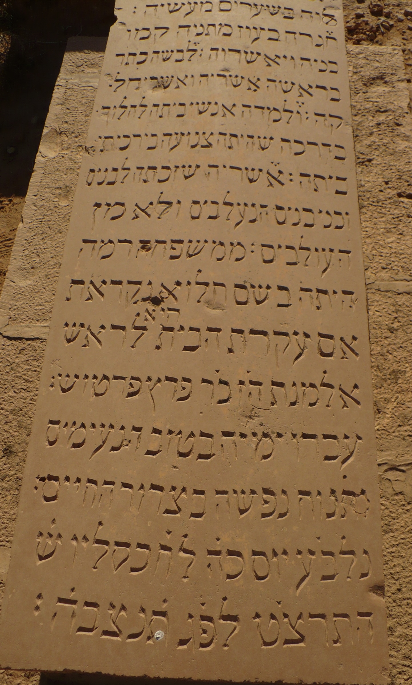 P1080054.jpg
