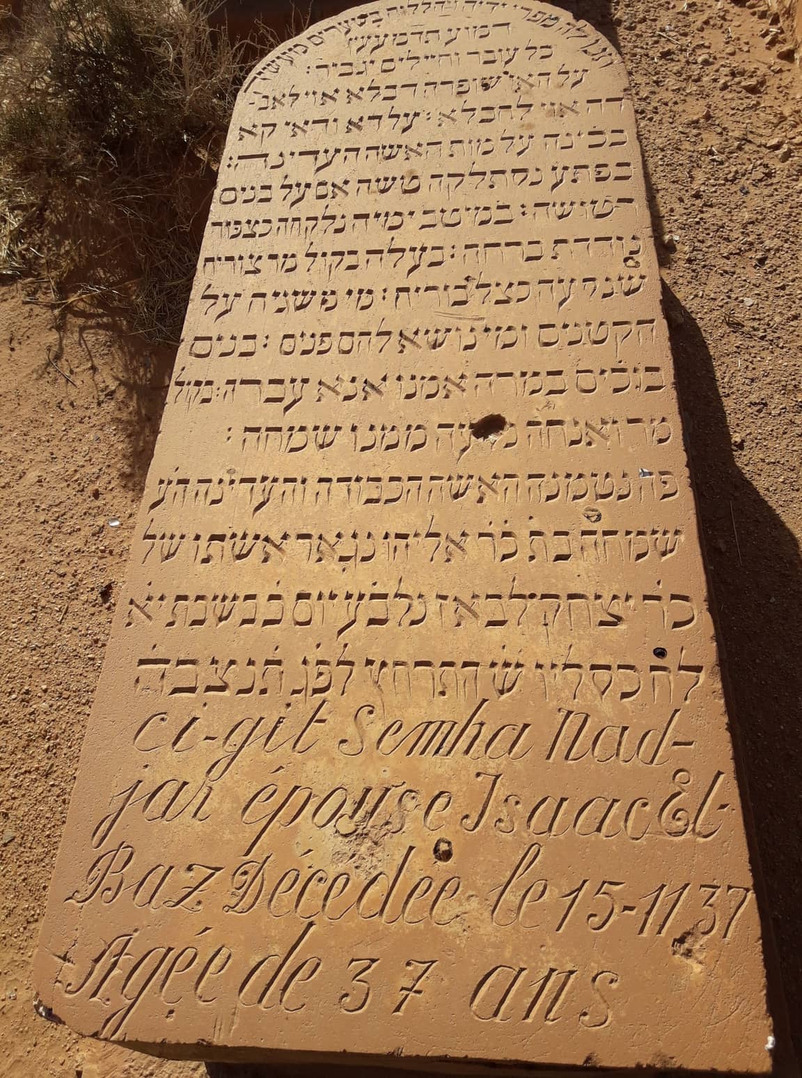 SIMHANEDJAR90.jpg