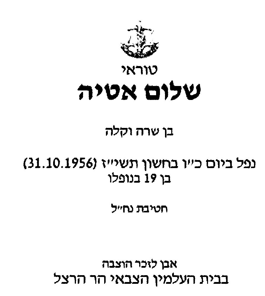 attia007.jpg