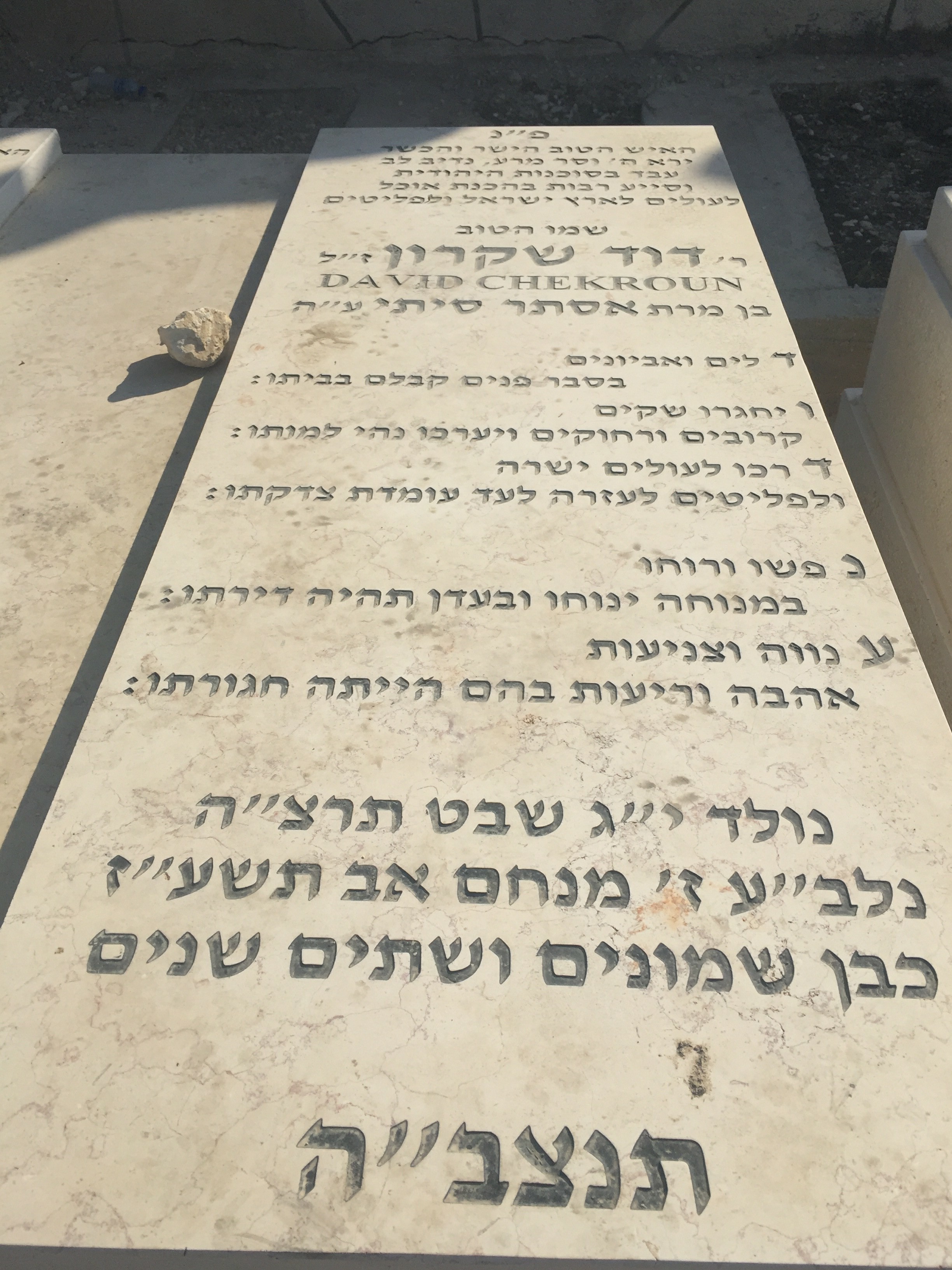 davidchekroun67.jpg