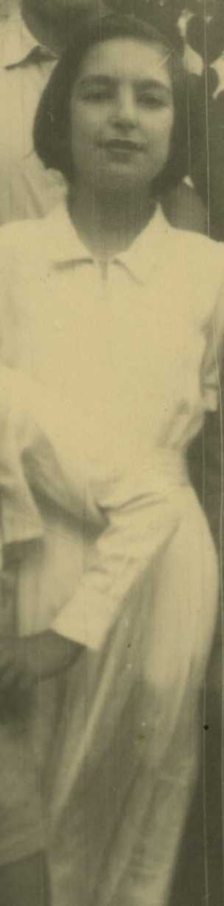 img445.jpg