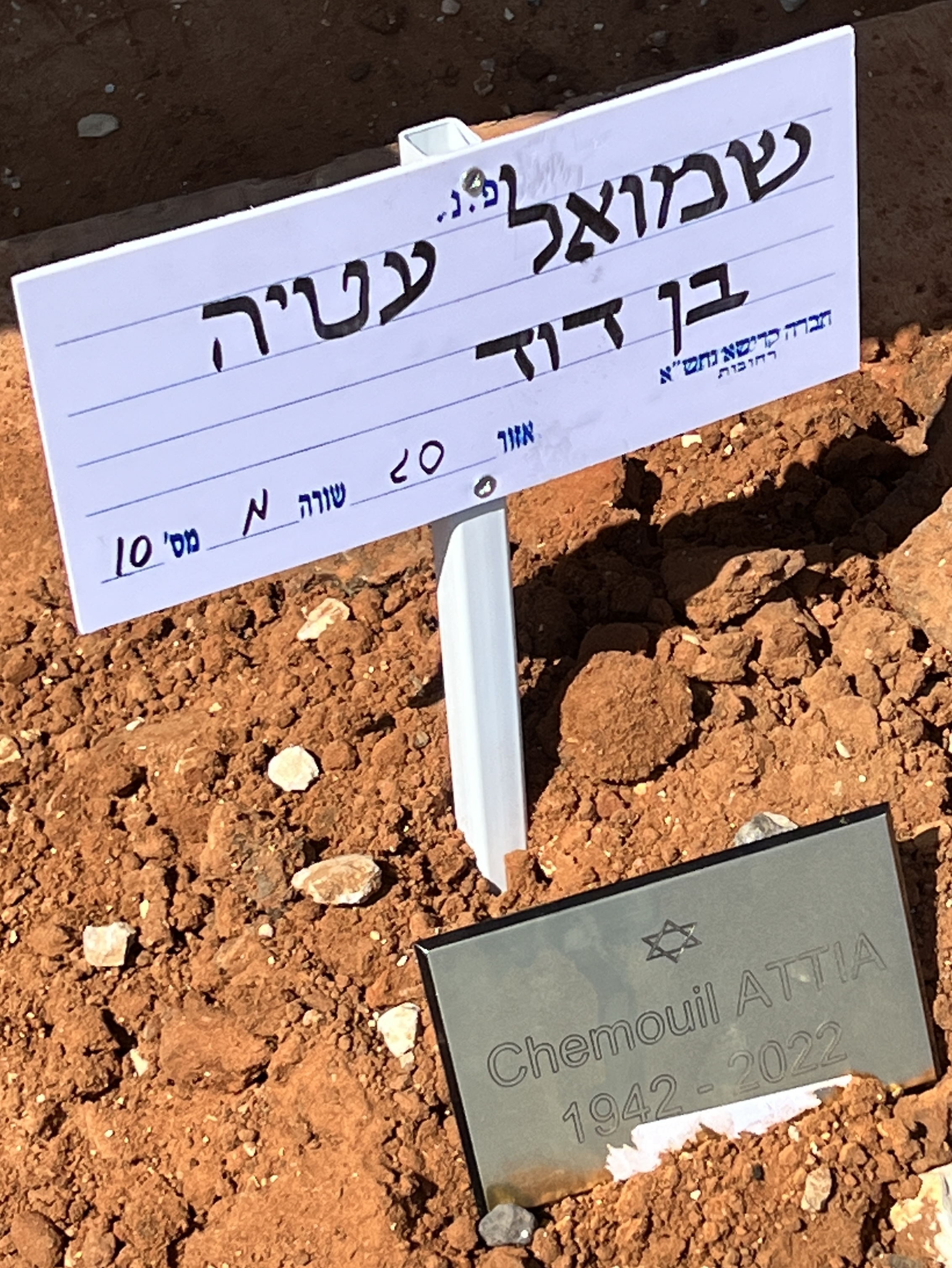 shmouelbendavid009.jpg
